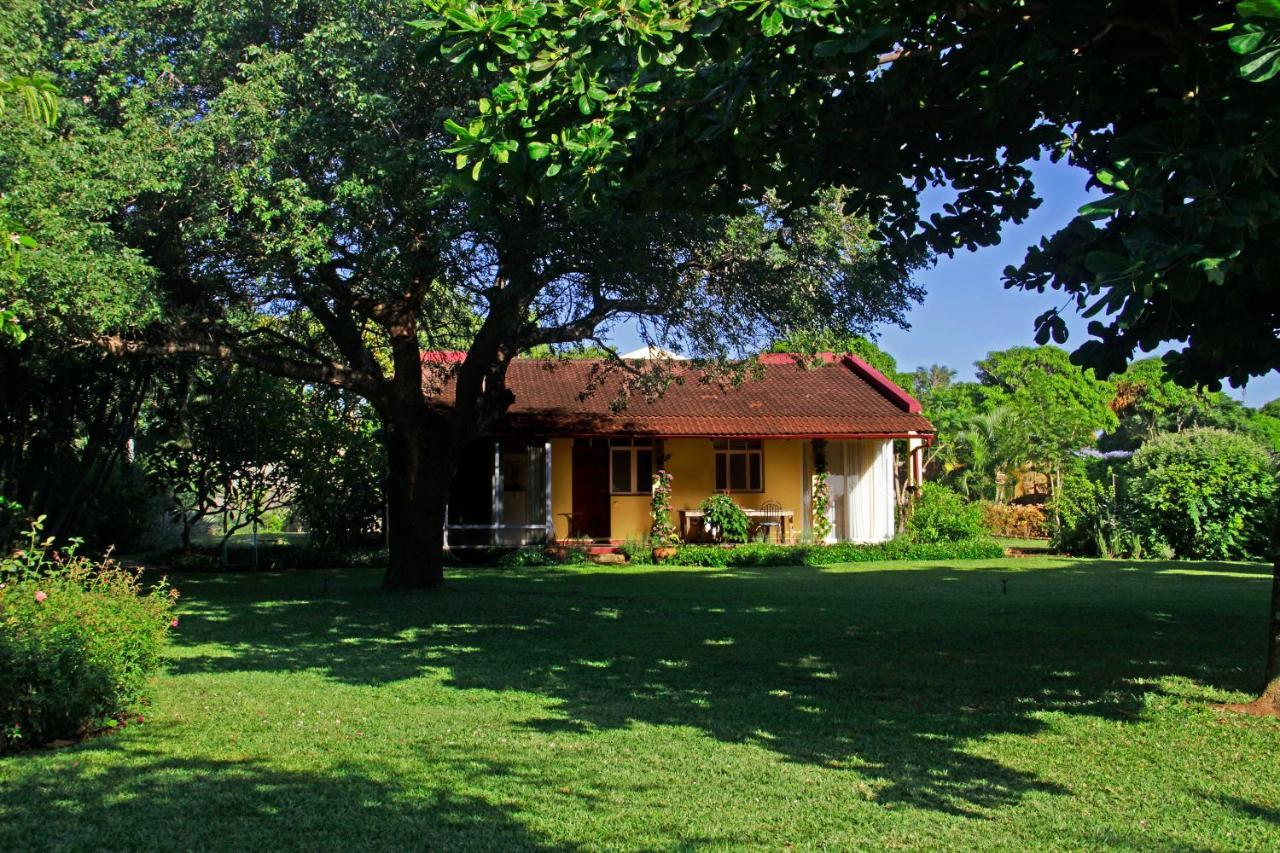 Ancha'S Oasis Hotel Maputo Buitenkant foto
